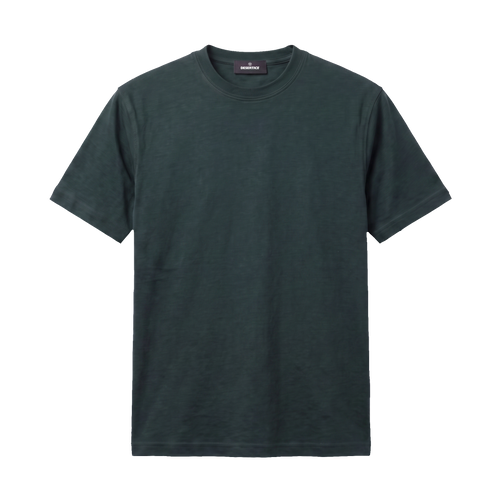 Round Neck Regular Fit Sada Tshirt (Olive green)