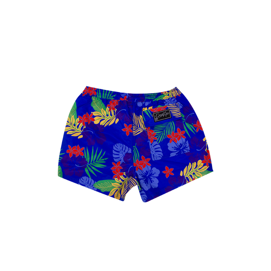 DESERT ICE SWIMSHORTS Blue REF.BS-02 شورت سباحة أزرق REF.BS-02