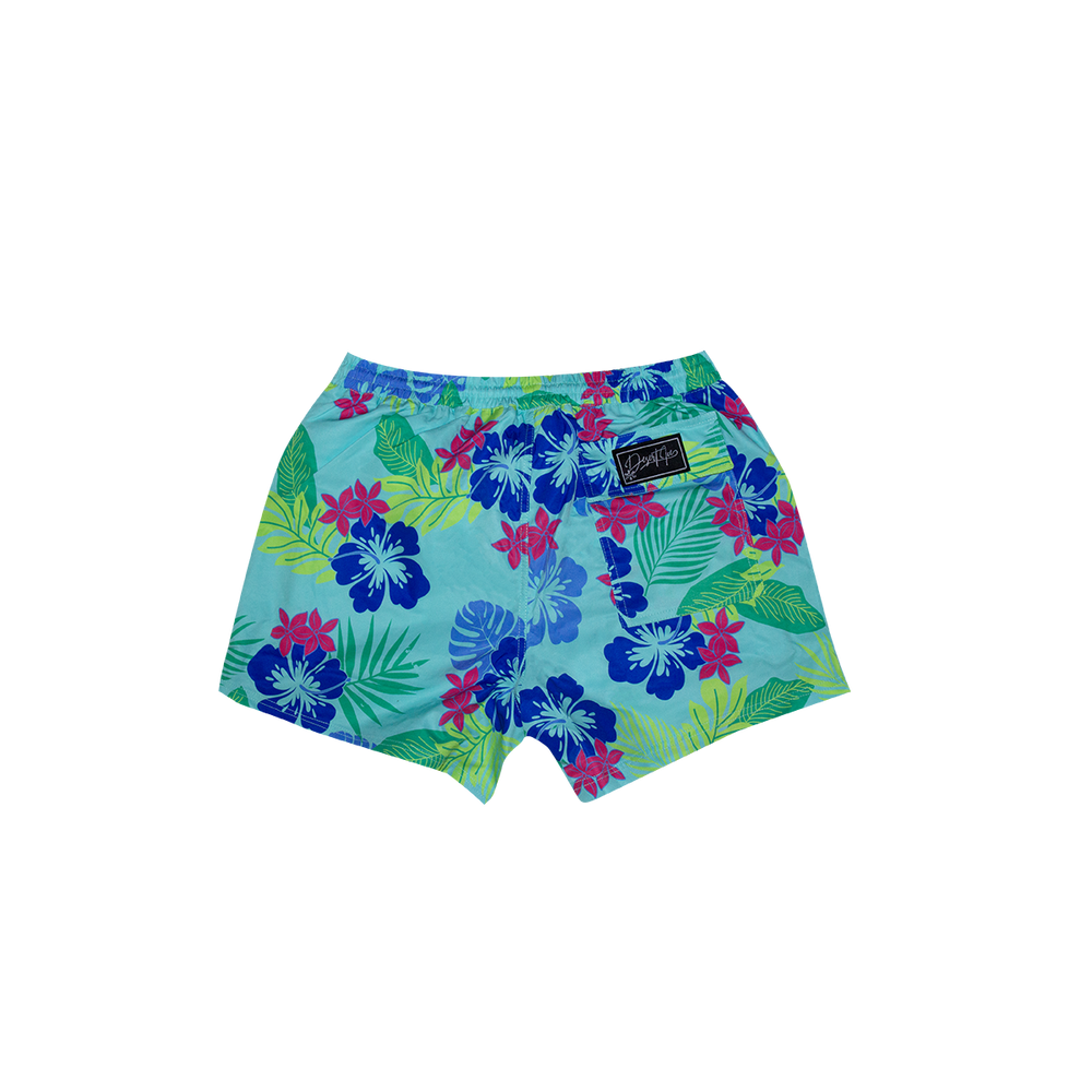 DESERT ICE SWIMSHORTS Light Green REF.BS-02 شورت سباحة أخضر فاتح REF.BS-02