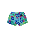 DESERT ICE SWIMSHORTS Light Green REF.BS-02 شورت سباحة أخضر فاتح REF.BS-02