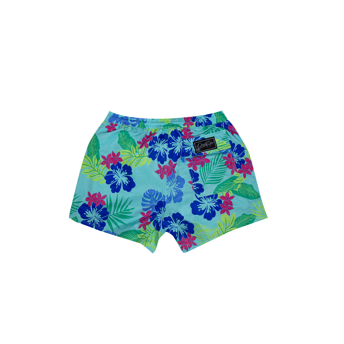 DESERT ICE SWIMSHORTS Light Green REF.BS-02 شورت سباحة أخضر فاتح REF.BS-02