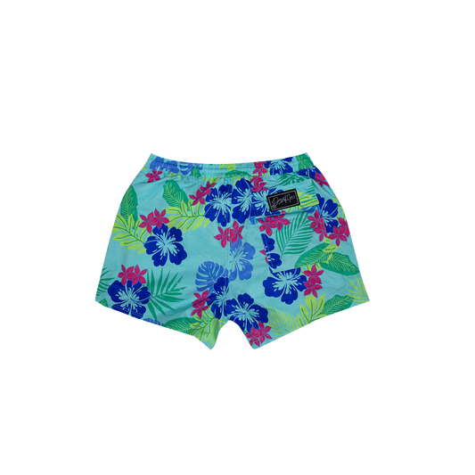 DESERT ICE SWIMSHORTS Light Green REF.BS-02 شورت سباحة أخضر فاتح REF.BS-02