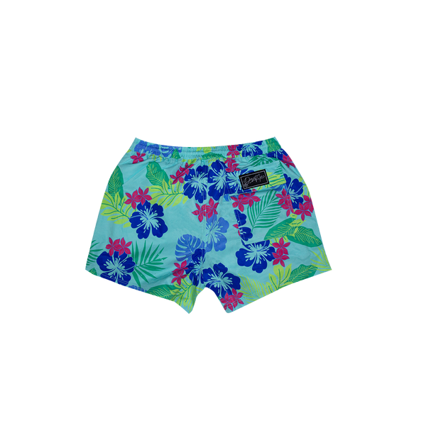 DESERT ICE SWIMSHORTS Light Green REF.BS-02 شورت سباحة أخضر فاتح REF.BS-02