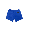 DESERT ICE SWIMSHORTS Blue REF.BS-01 شورت سباحة أزرق REF.BS-01