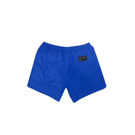 DESERT ICE SWIMSHORTS Blue REF.BS-01 شورت سباحة أزرق REF.BS-01