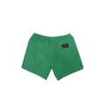 DESERT ICE SWIMSHORTS Green REF.BS-01 شورت سباحة أخضر REF.BS-01