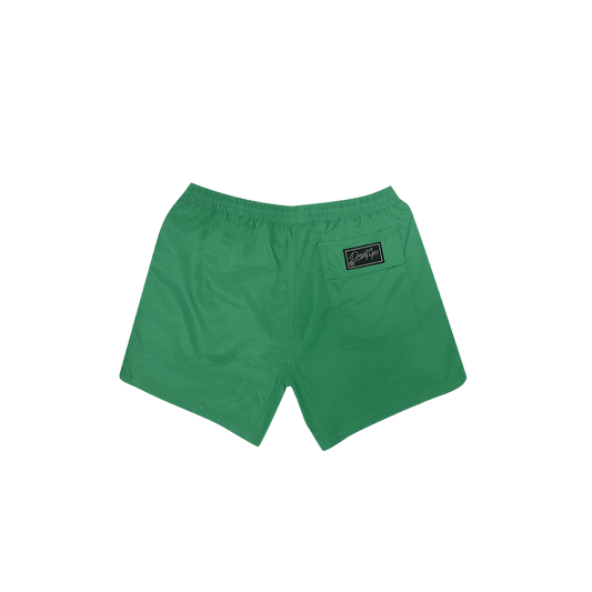 DESERT ICE SWIMSHORTS Green REF.BS-01 شورت سباحة أخضر REF.BS-01